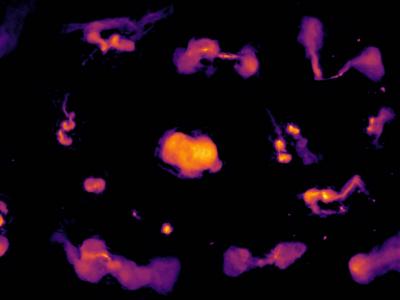 Umfassende Karte des Radiohimmels veröffentlicht